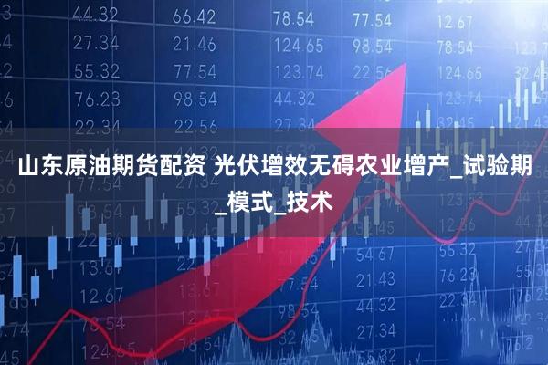 山东原油期货配资 光伏增效无碍农业增产_试验期_模式_技术