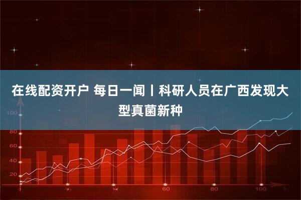 在线配资开户 每日一闻丨科研人员在广西发现大型真菌新种
